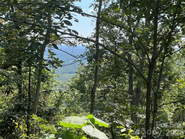 Imagine this view! This is what you could look at from your porch