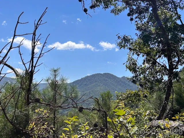 Mountain Views