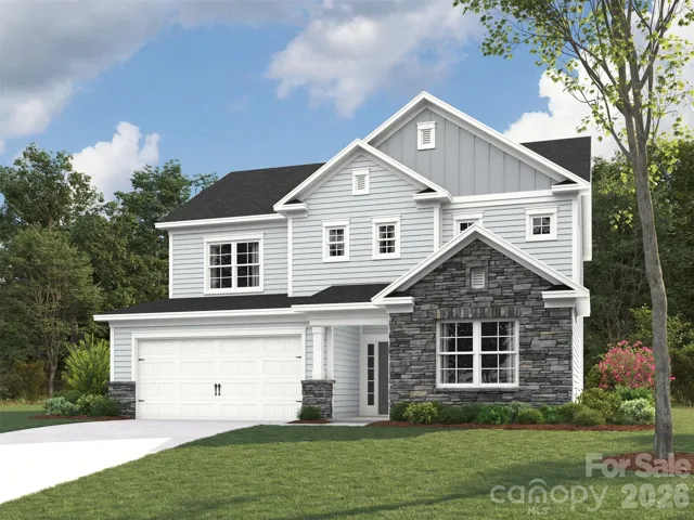 Elevation rendering only