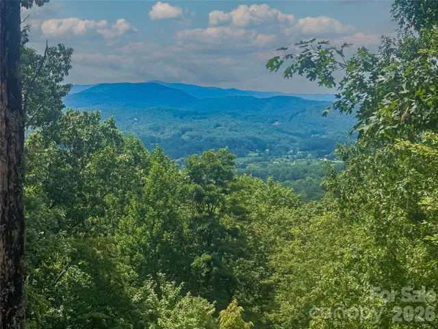 Blue Ridge Mountain View