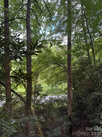 View through trees at the bottom of the property.