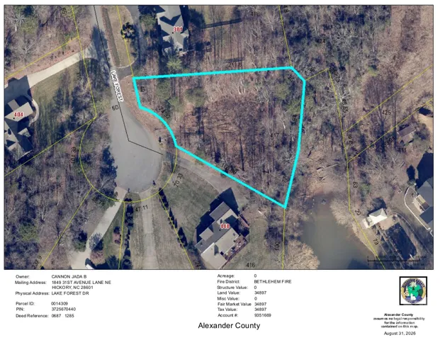 GIS map of the lot