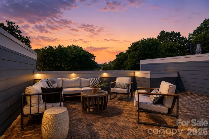 Private rooftop terrace made for sunset evenings (virtual twilight)