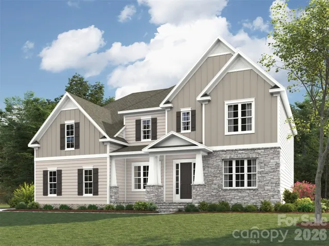 Elevation rendering only