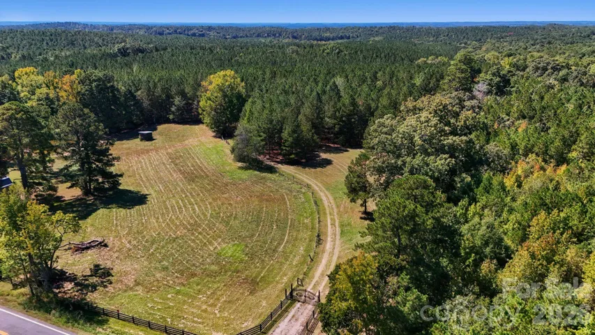 Large Turnkey recreational tracts with hunting cabin, mature pine proaction, and thousands of feet of creek front