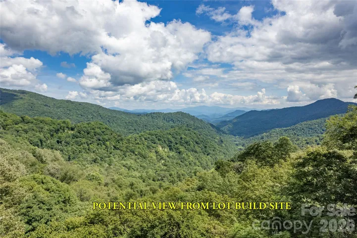Potential view after clearing