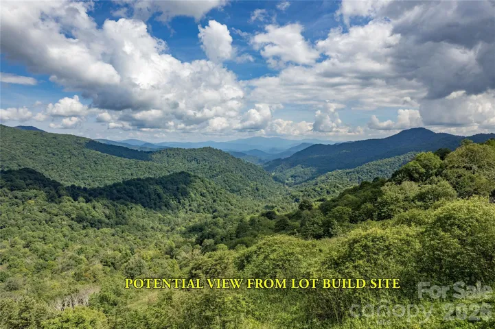 Potential view from Goldenleaf Rd