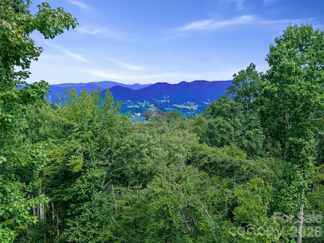 000 Winterberry Rd. Potential View