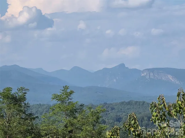 View from road by property