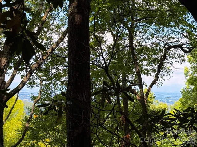 View from top of lot