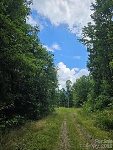 Looking from property towards the cul-de-sac on Tenderfoot Trail