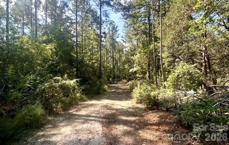 driveway 1