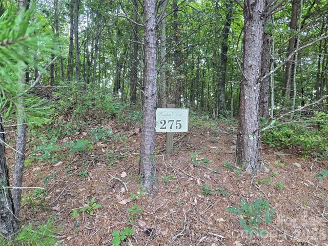 Front of Lot