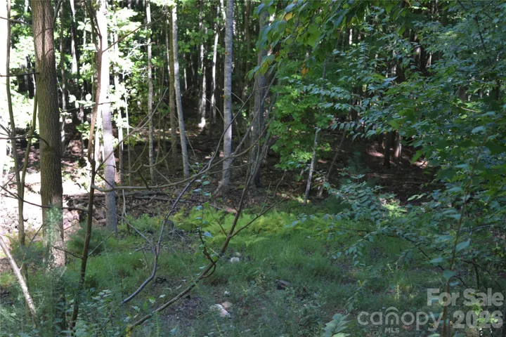 Potential building site