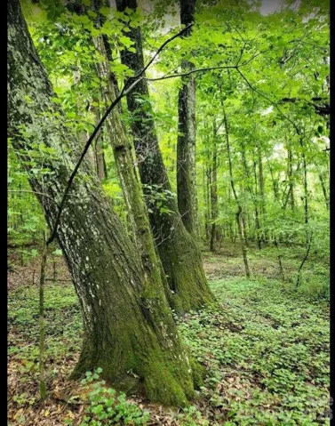 1170