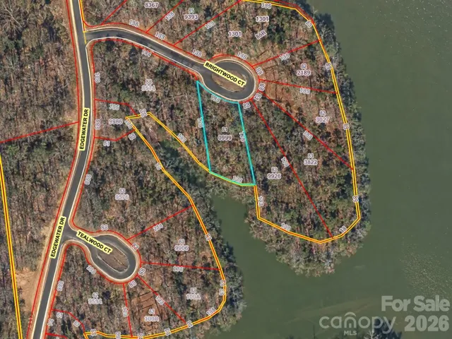 Aerial View of Lot 81