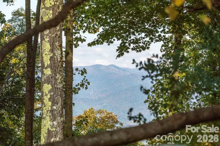 YOUR NEW VIEW!