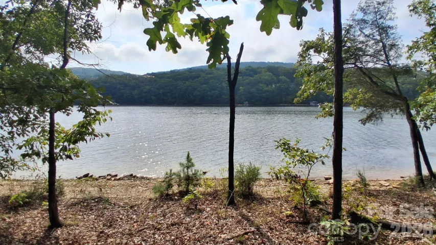 VIEW FROM LAKE
