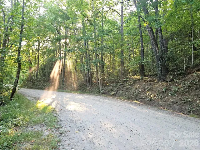 Bear Lake Lot - Frontage access