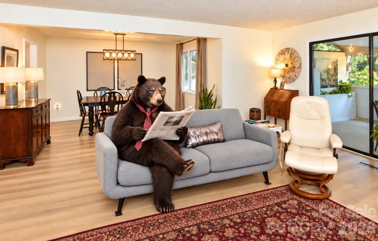 Actual living room. AI resident