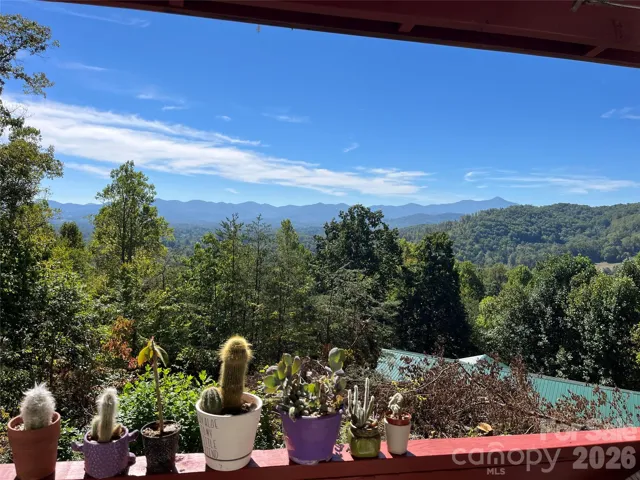 View from back porch