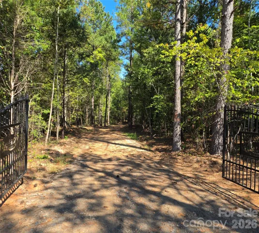 Gate Entrance with driveway