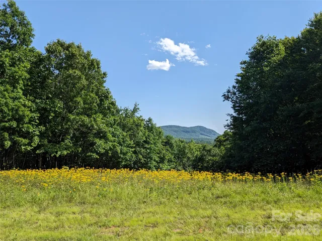 View in the Spring showing the cleared area. Grass has since been cut.