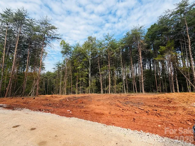 Large lot with privacy and partially cleared.