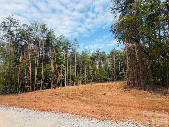Large lot and partially cleared!