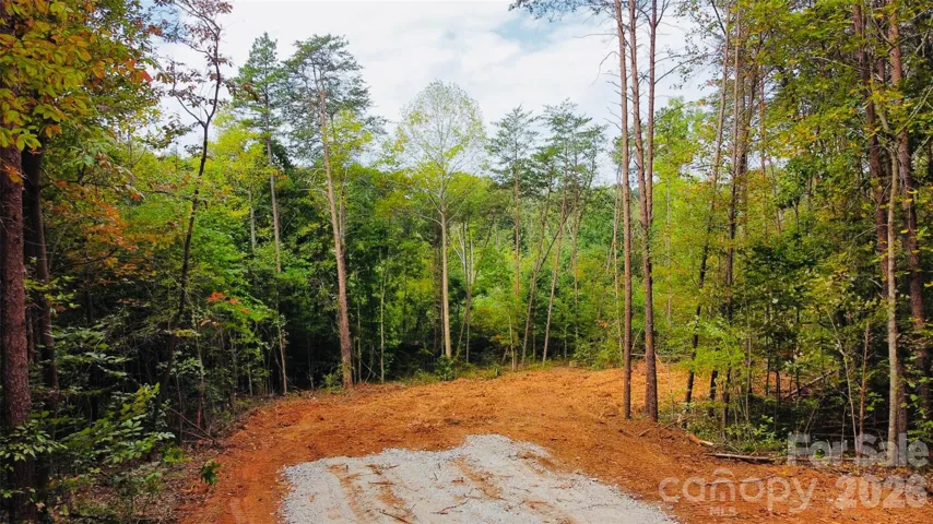 Large lot and privacy
