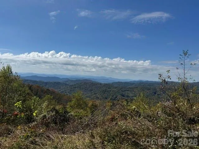 Potential View