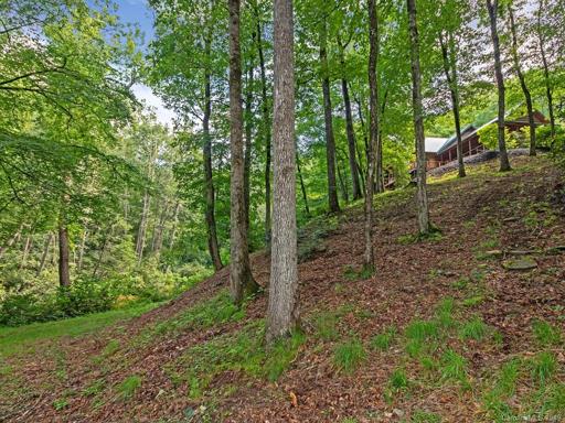 Hiking trails on property that adjoins Pisgah National Forest