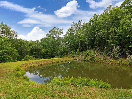 23' deep Spring fed pond