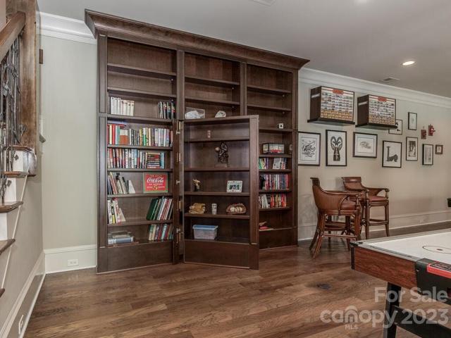 Recreation Room-lower level