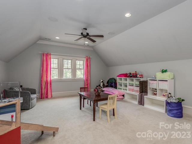Bonus Room-upper level