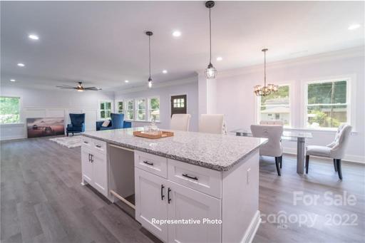 Representative Photo