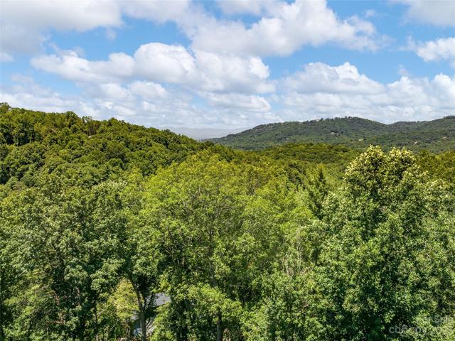 VIEW BEHIND TREES - PER HOA 40* VIEW FROM ANY POINT ON DECK COULD BE OPENED!