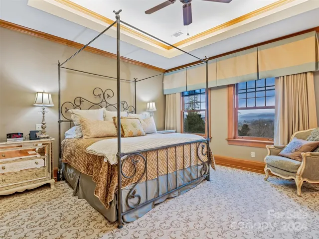 The Primary Suite offers incredible views of the Blue Ridge Mountains and a charming double sided gas fireplace
