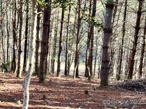 Lot 94 is 2.4 acres.  Gentle slope down the back to a meadow and creek