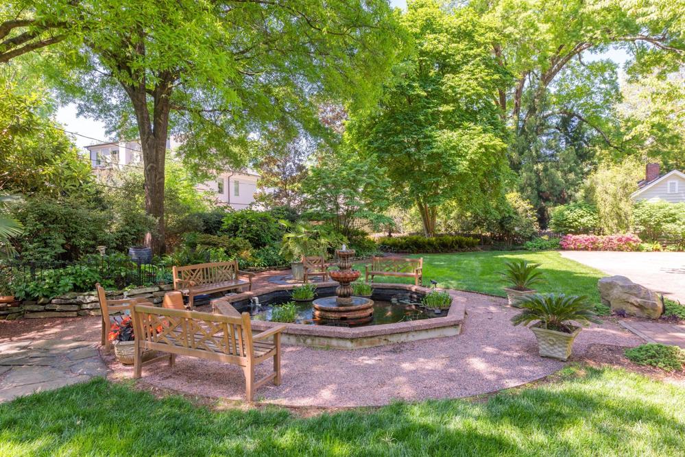 Koi pond with seating under wonderful trees.