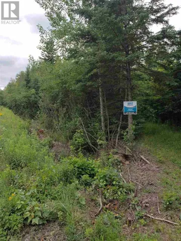 Cole Road