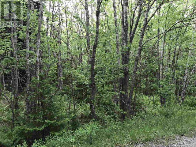 53.03 Acres Highway 308 Highway, Belleville, Nova Scotia B0W3M0
