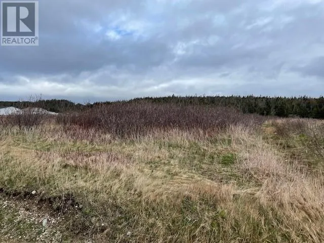 LOT 146 FRONT Road