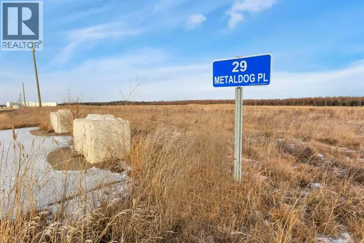 29 METALDOG Place