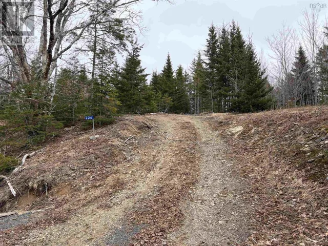226 Brookville Branch Road