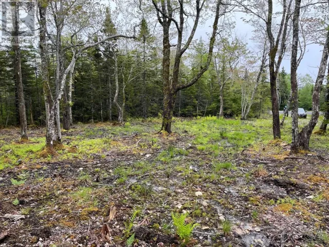 Lot 1A-81 Maple Drive