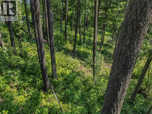 Lot 25 Forest View Place,