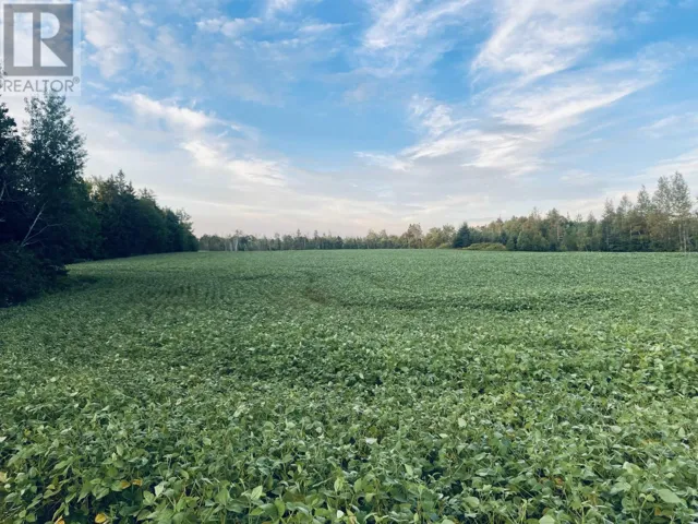 Lot Seven Mile Road, Route 4