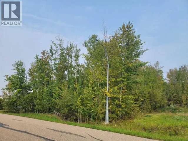 5404 Spruce Avenue, Wandering River, Alberta T0A3M0