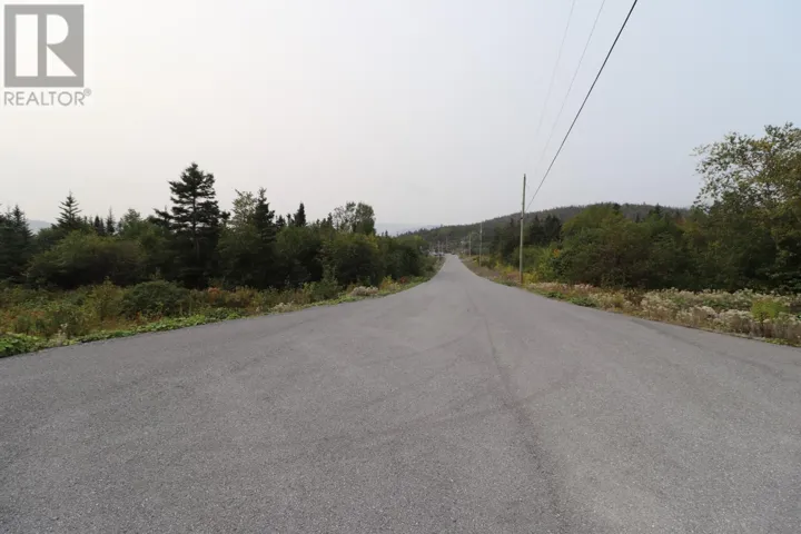 8 Hollands Memorial Drive, Norris Point, Newfoundland & Labrador A0K3V0